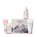 SKIN1004 Poremizing Travel Kit contents